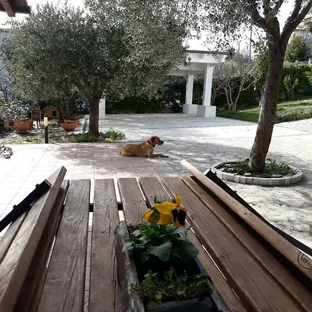 Appartamento Casa Vacanze Tra Cielo E Terra