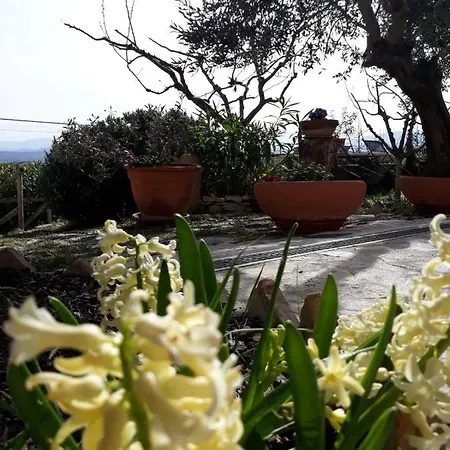 Appartamento Casa Vacanze Tra Cielo E Terra Colonnella
